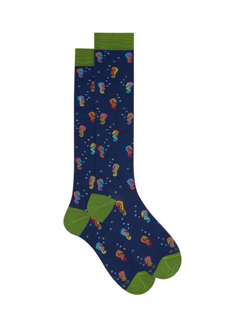 AP51672612679 FANTASIA gallo | AP51672612679 FANTASIA